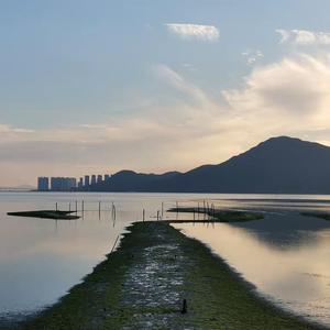 男男又爽❌又黄❌免费蘑菇
